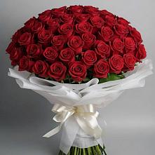 Букет 101 Красная роза Блэк Мэджик в Поселке совхоз имени Ленина