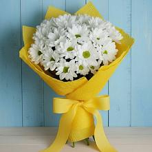 Букет цветов из:  Хризантемы в Поселке совхоз имени Ленина