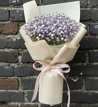 Букет цветов из:  Гипсофила в Поселке совхоз имени Ленина