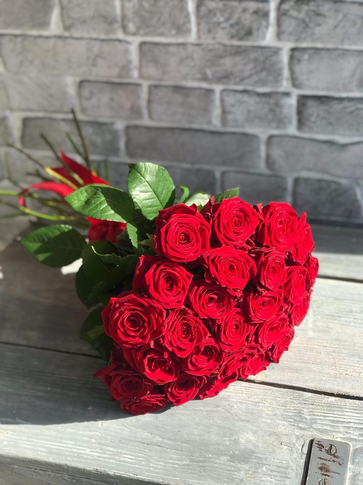 Букет Красные розы Фридом в Поселке совхоз имени Ленина