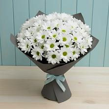 Букет цветов из:  Хризантемы в Поселке совхоз имени Ленина