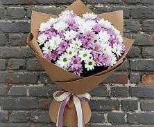 Букет цветов из:  Хризантемы в Поселке совхоз имени Ленина