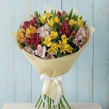 Букет цветов из:  Альстромерии #REPLACE_PRED# Поселке совхоз имени Ленина