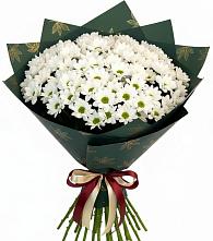 Букет цветов из:  Хризантемы в Поселке совхоз имени Ленина