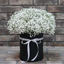 Цветочная композиция из Гипсофила в шляпной коробке в Поселке совхоз имени Ленина