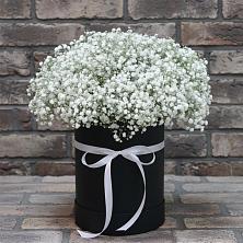 Цветочная композиция из Гипсофила в шляпной коробке в Поселке совхоз имени Ленина