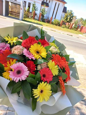Букет цветов из: Герберы в Поселке совхоз имени Ленина