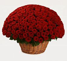 Премиум букет из: Розы в Поселке совхоз имени Ленина