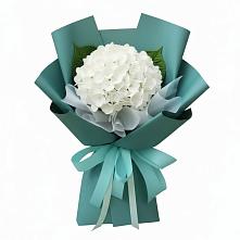 Букет цветов из:  Гортензия в Поселке совхоз имени Ленина